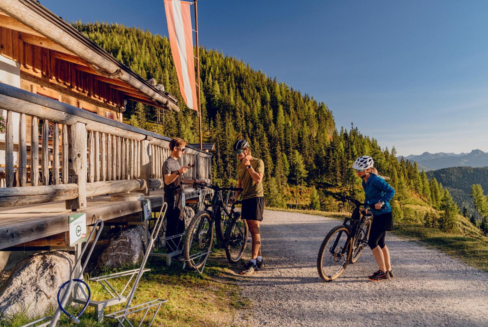 Brandhof - Chalet Am Berg Ramsau am Dachstein Bagian luar foto